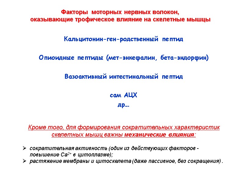 Факторы  моторных нервных волокон,  оказывающие трофическое влияние на скелетные мышцы  Кальцитонин-ген-родственный